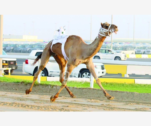 alarab
