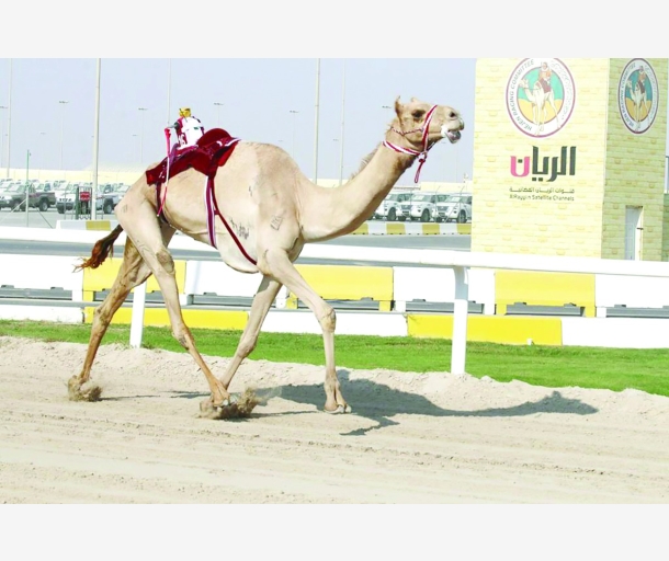 alarab