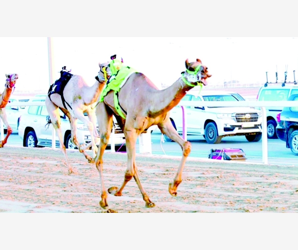 alarab