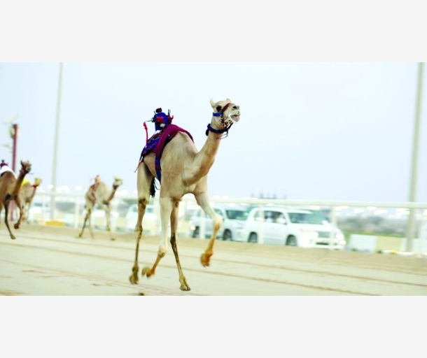 alarab