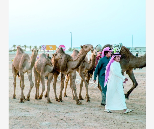 alarab