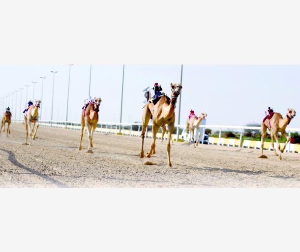 alarab