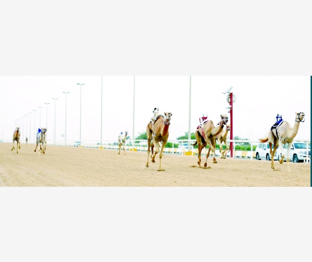 alarab