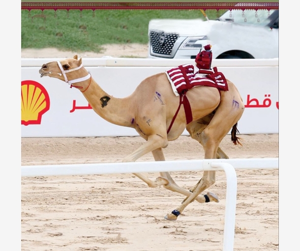 alarab