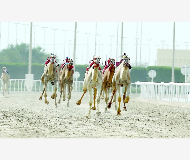 alarab