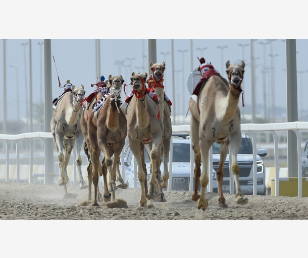 alarab