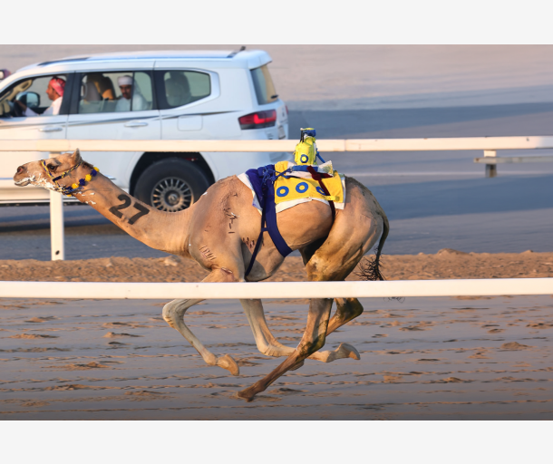 alarab
