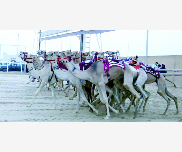 alarab