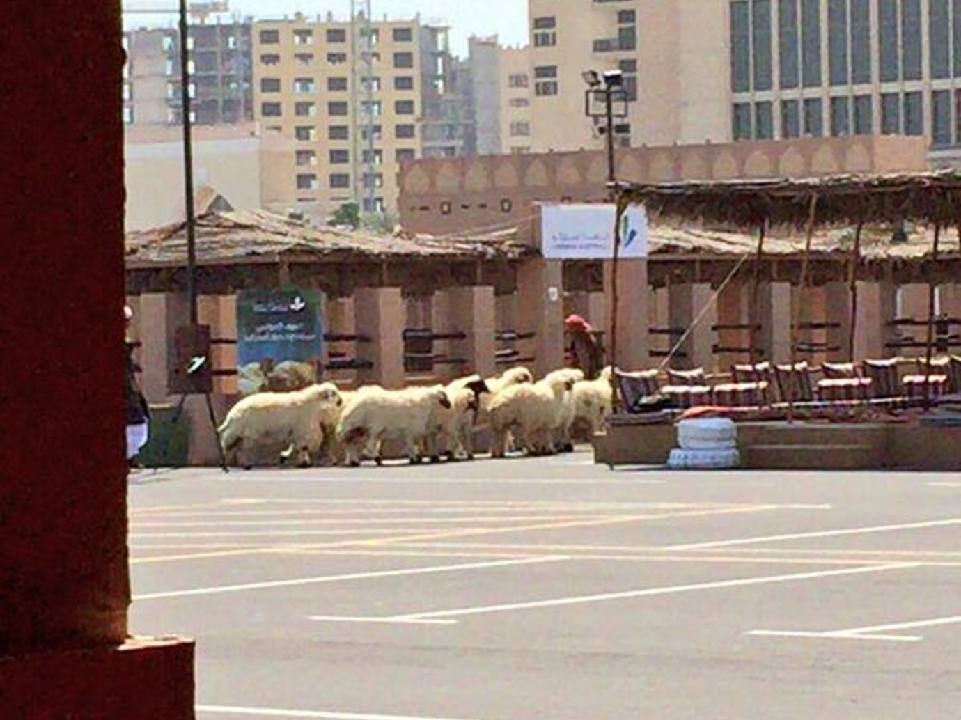 alarab