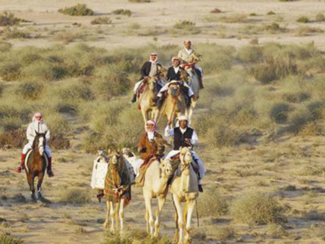 alarab