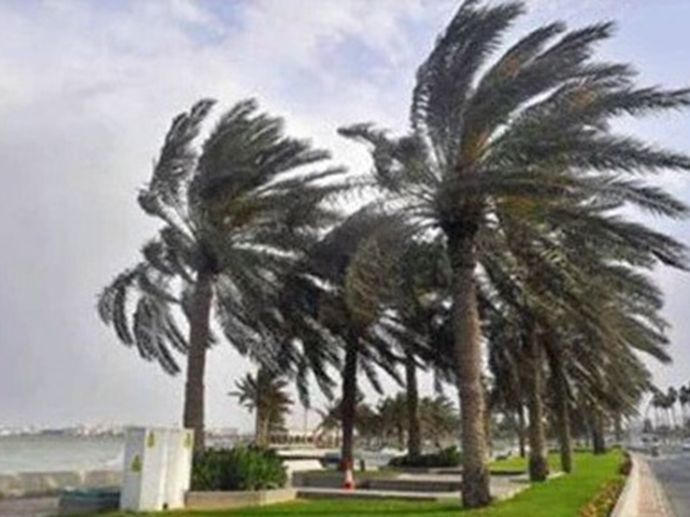 alarab