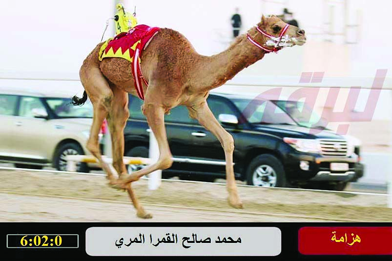 لوسيل