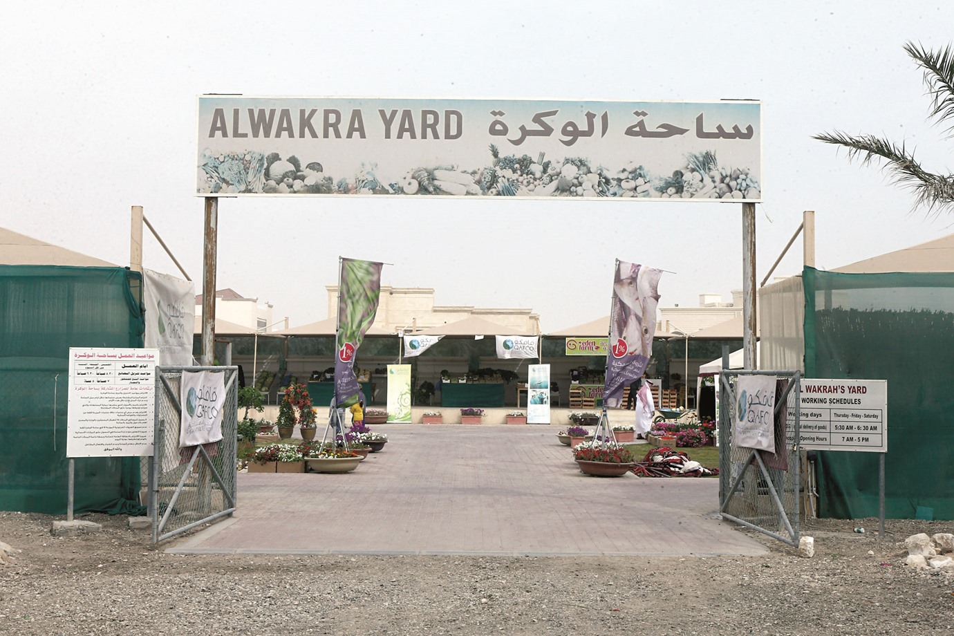 alarab