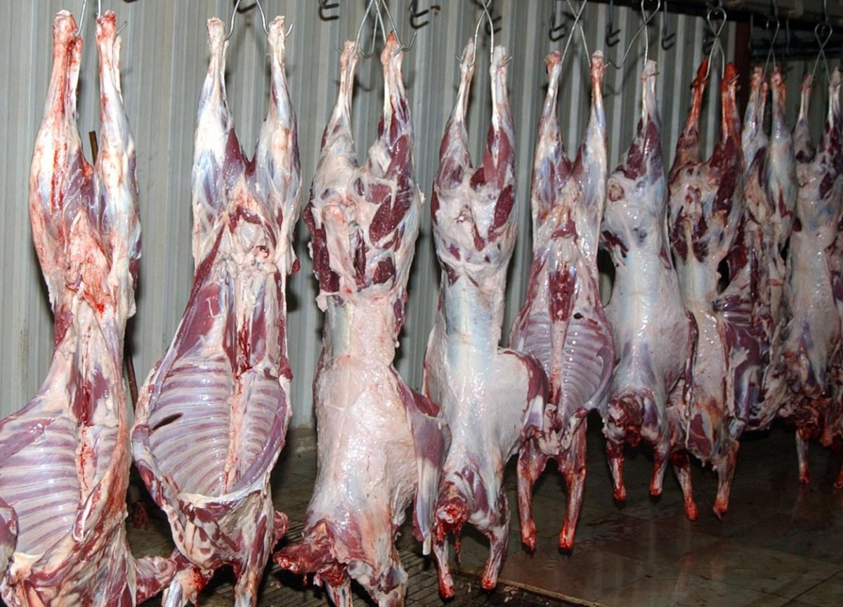 لوسيل