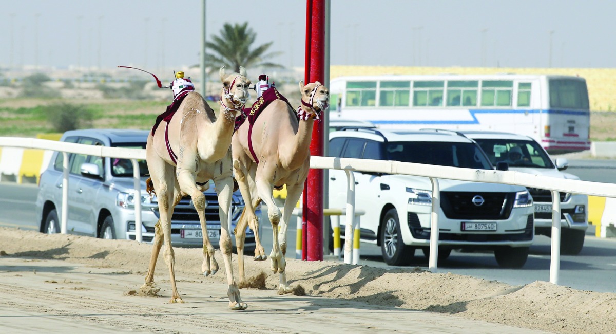 alarab