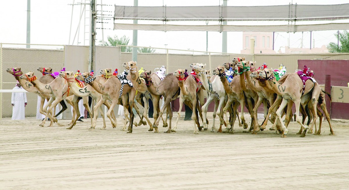 alarab