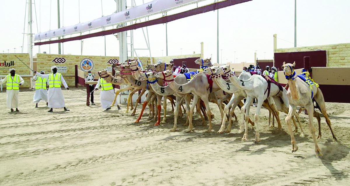 alarab