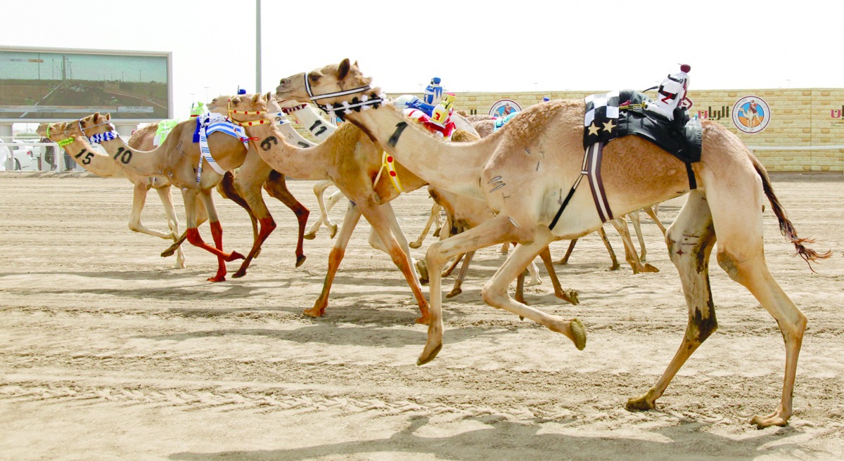 alarab