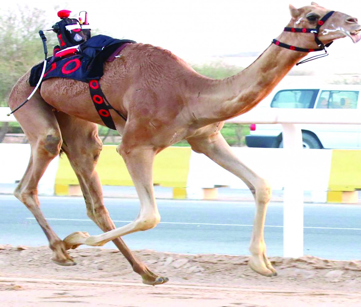 alarab