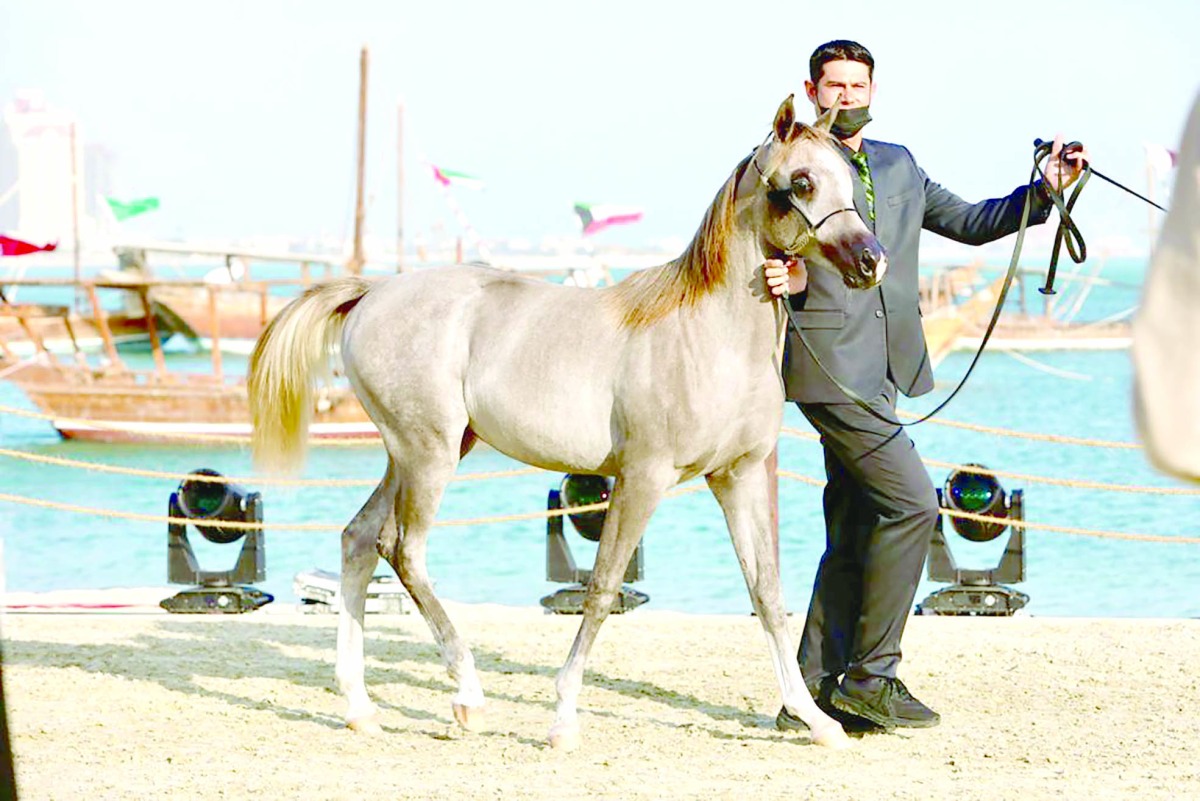 alarab
