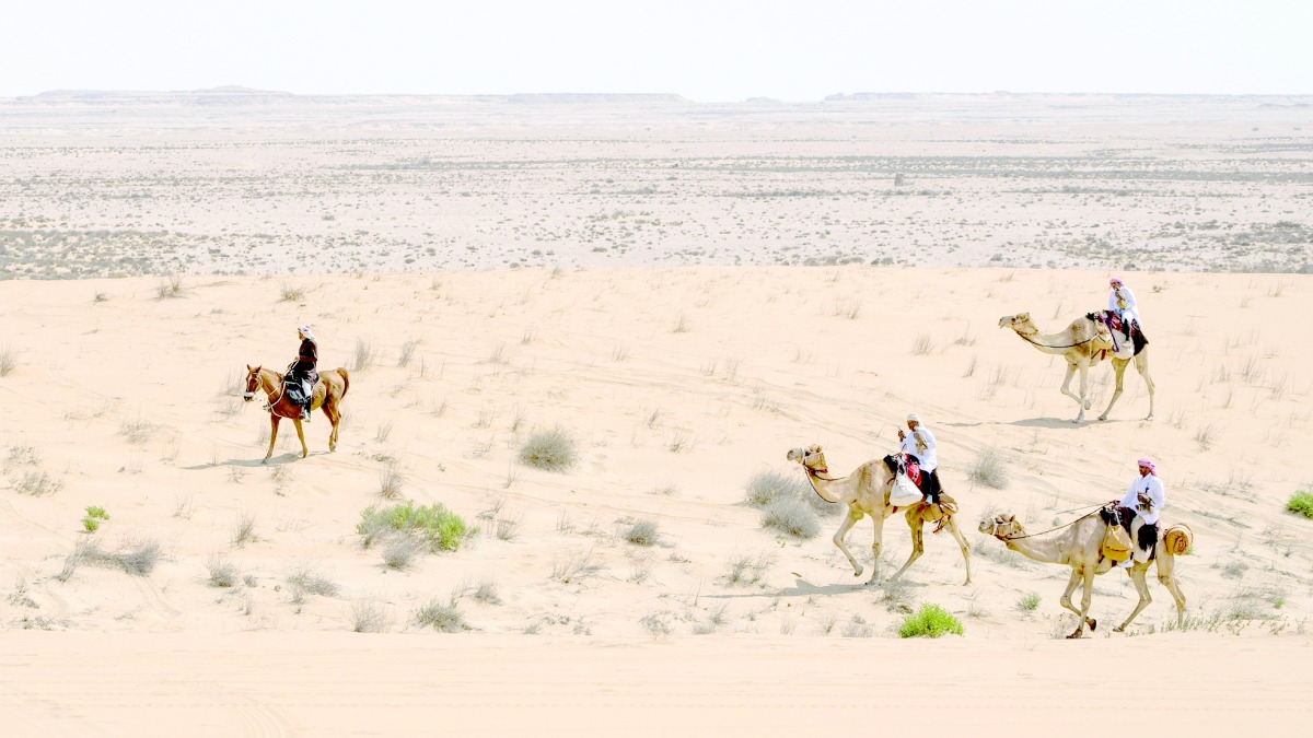 alarab