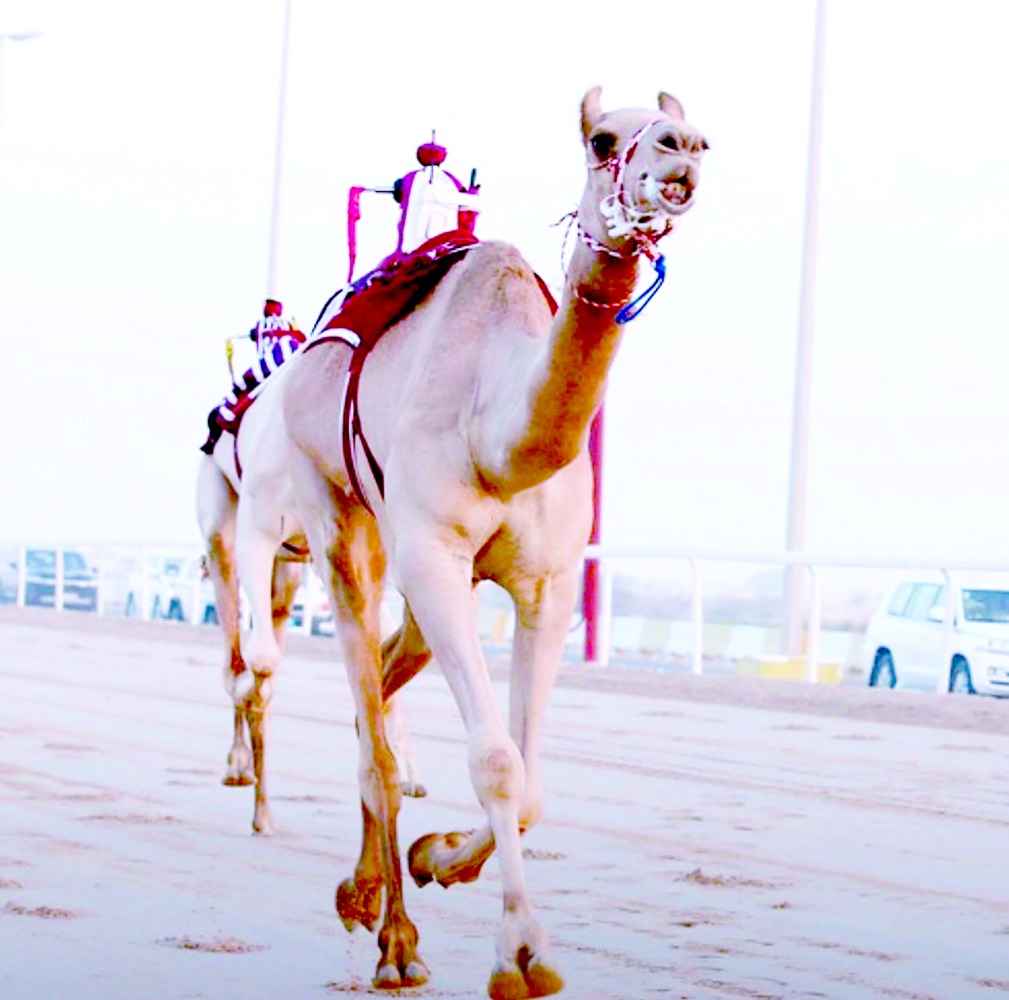 alarab