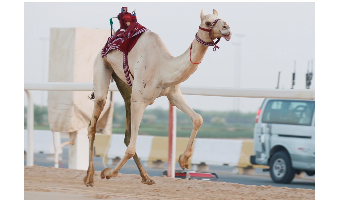 alarab