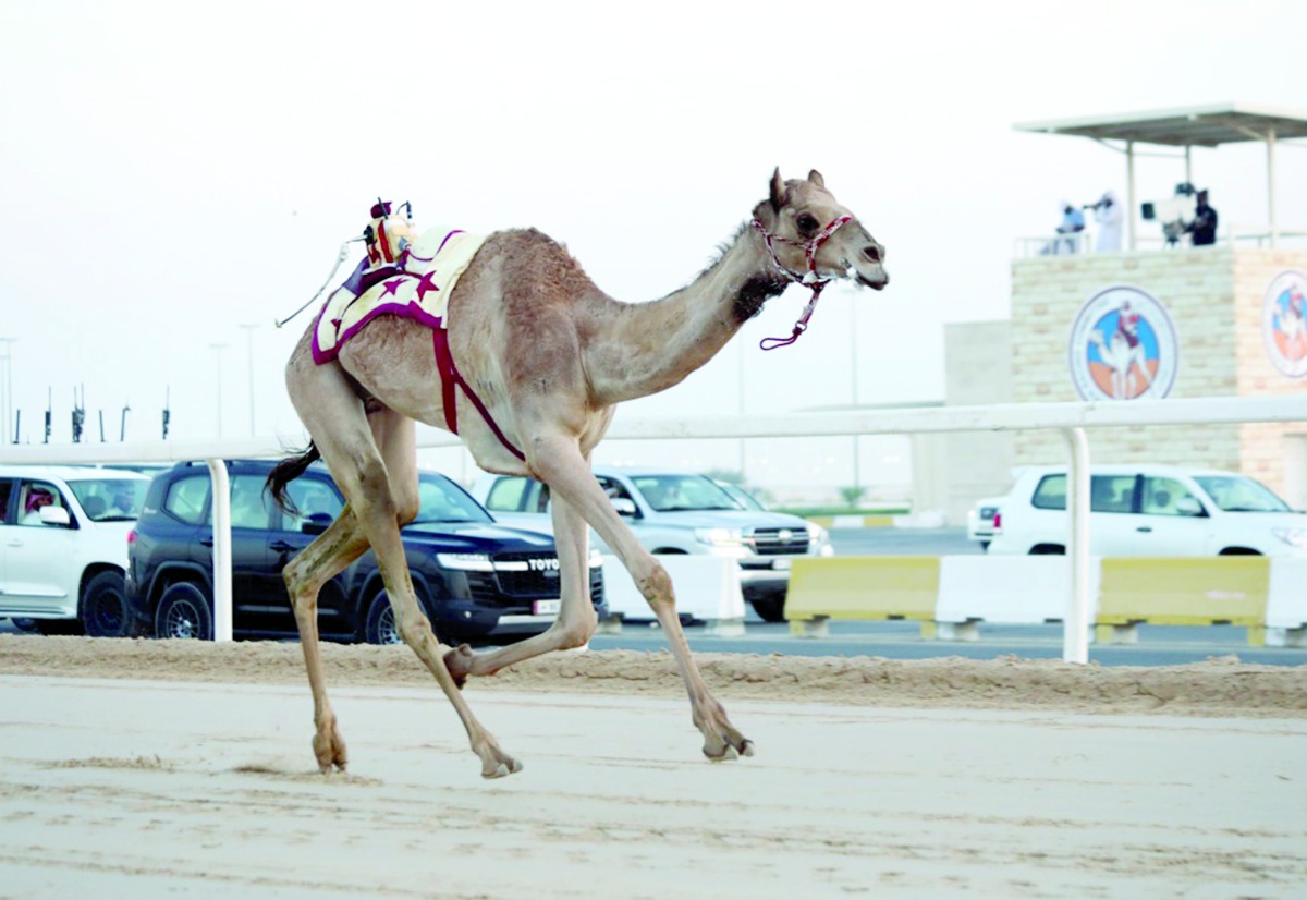 alarab