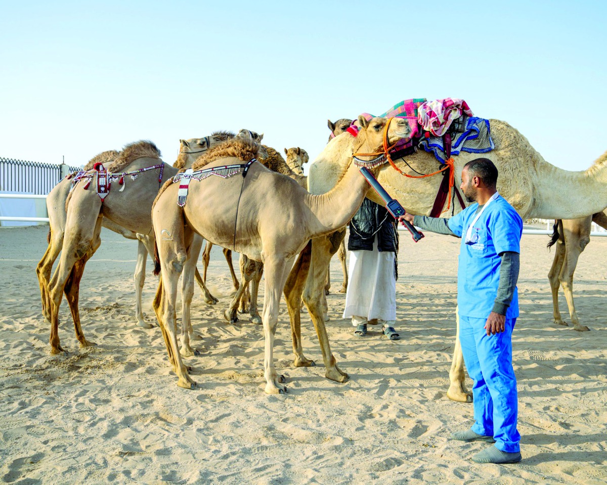 alarab