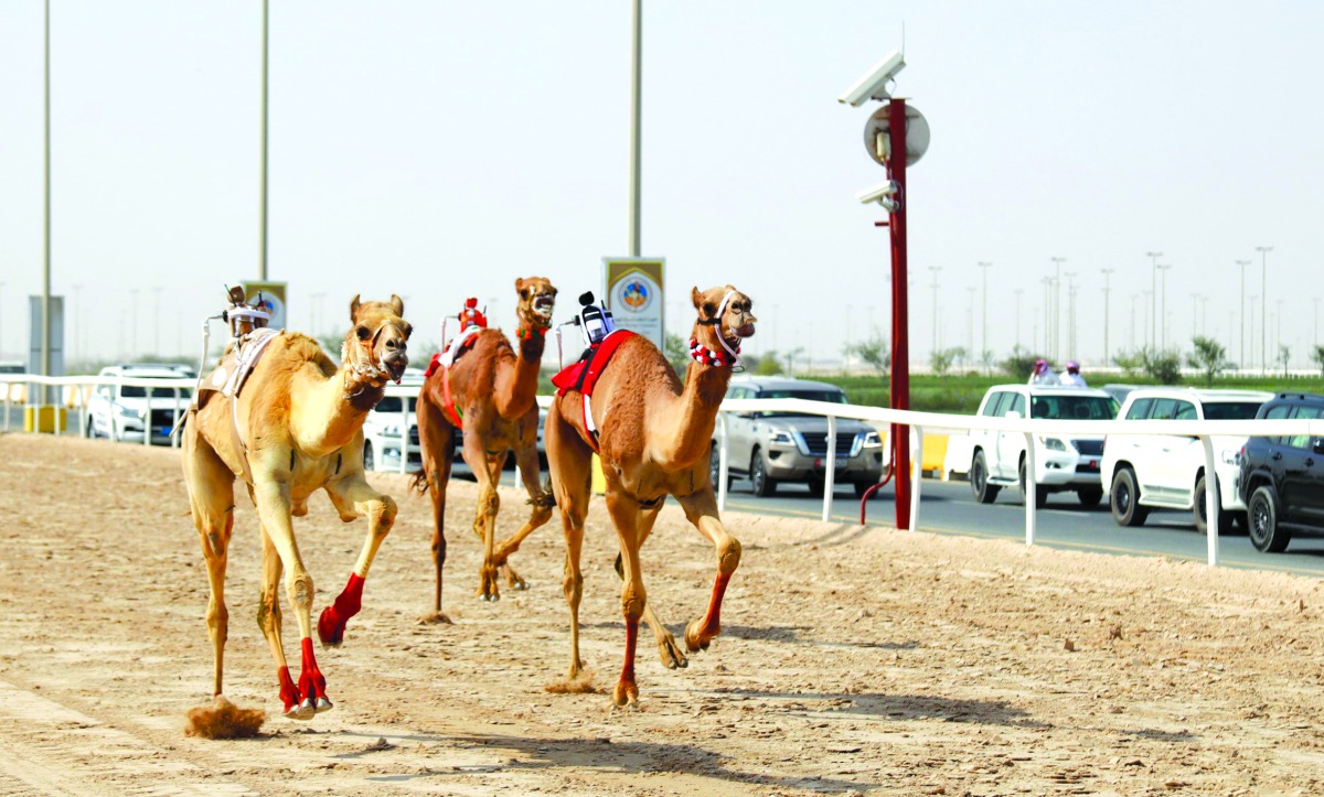 alarab