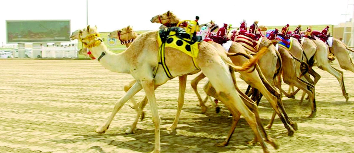 alarab