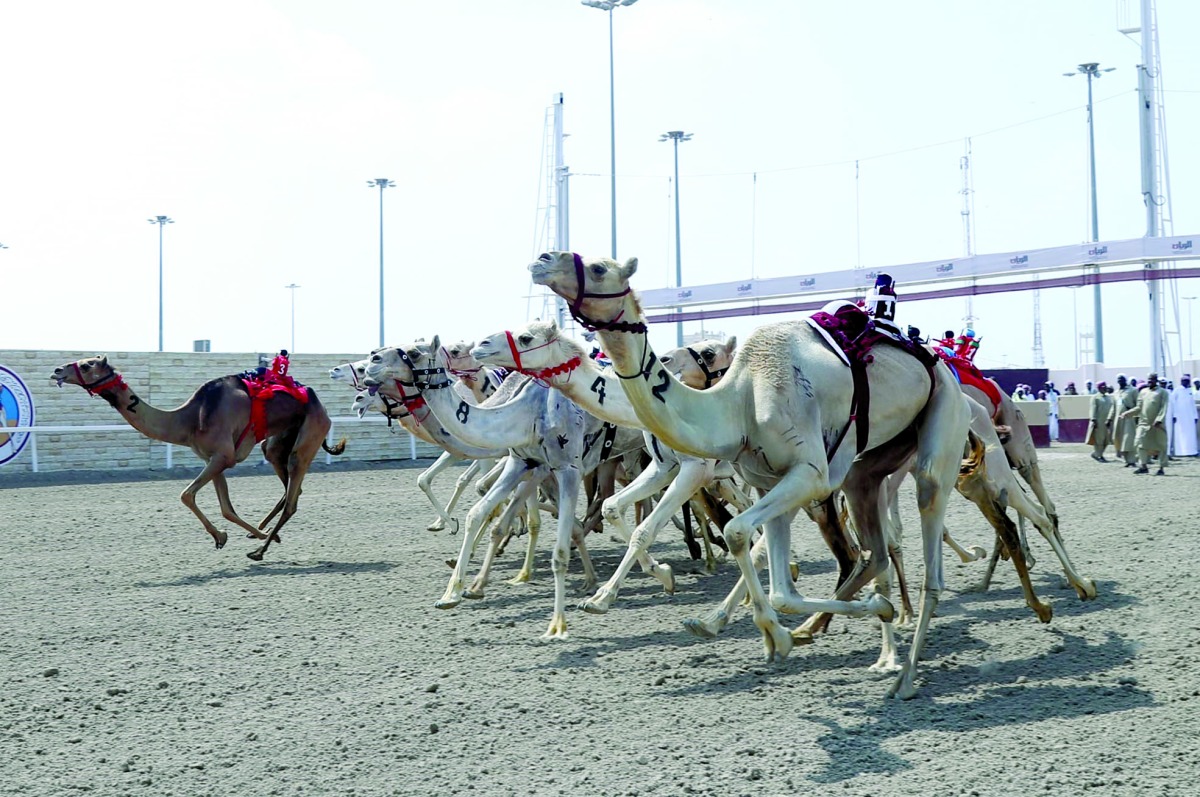 alarab