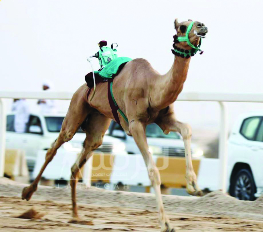 alarab