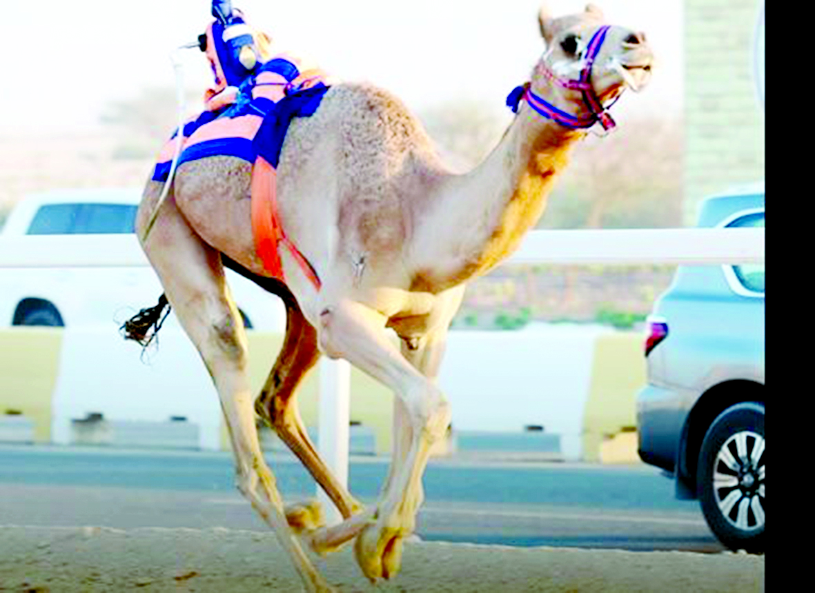 alarab