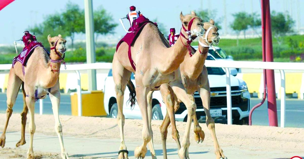 alarab