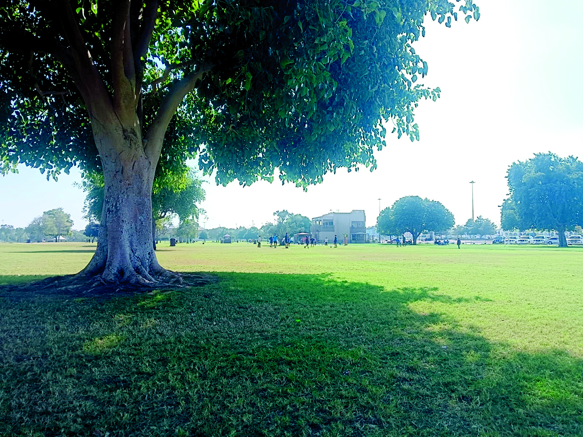 alarab