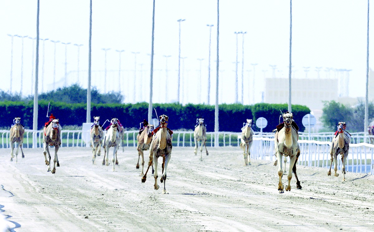 alarab