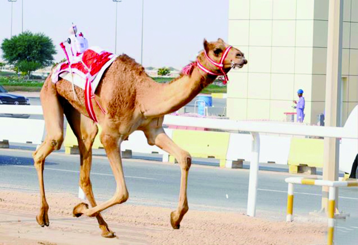 alarab