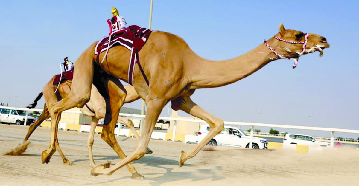 alarab