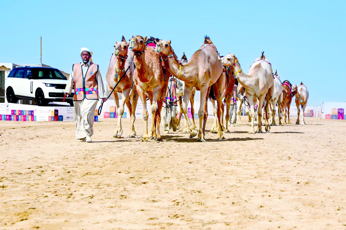 alarab