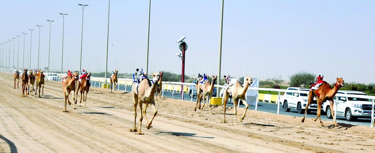 alarab