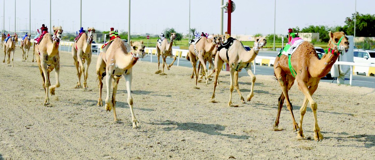 alarab