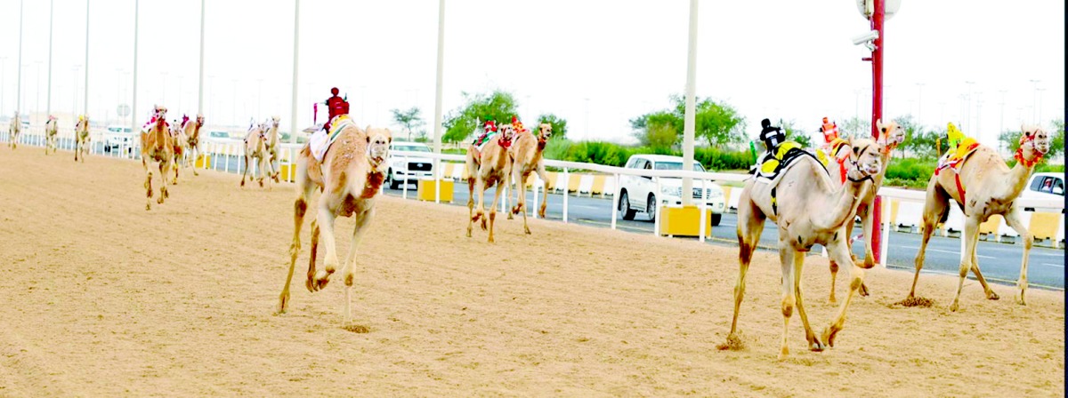 alarab