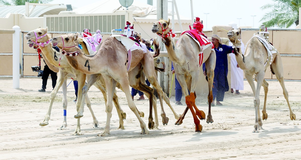 alarab