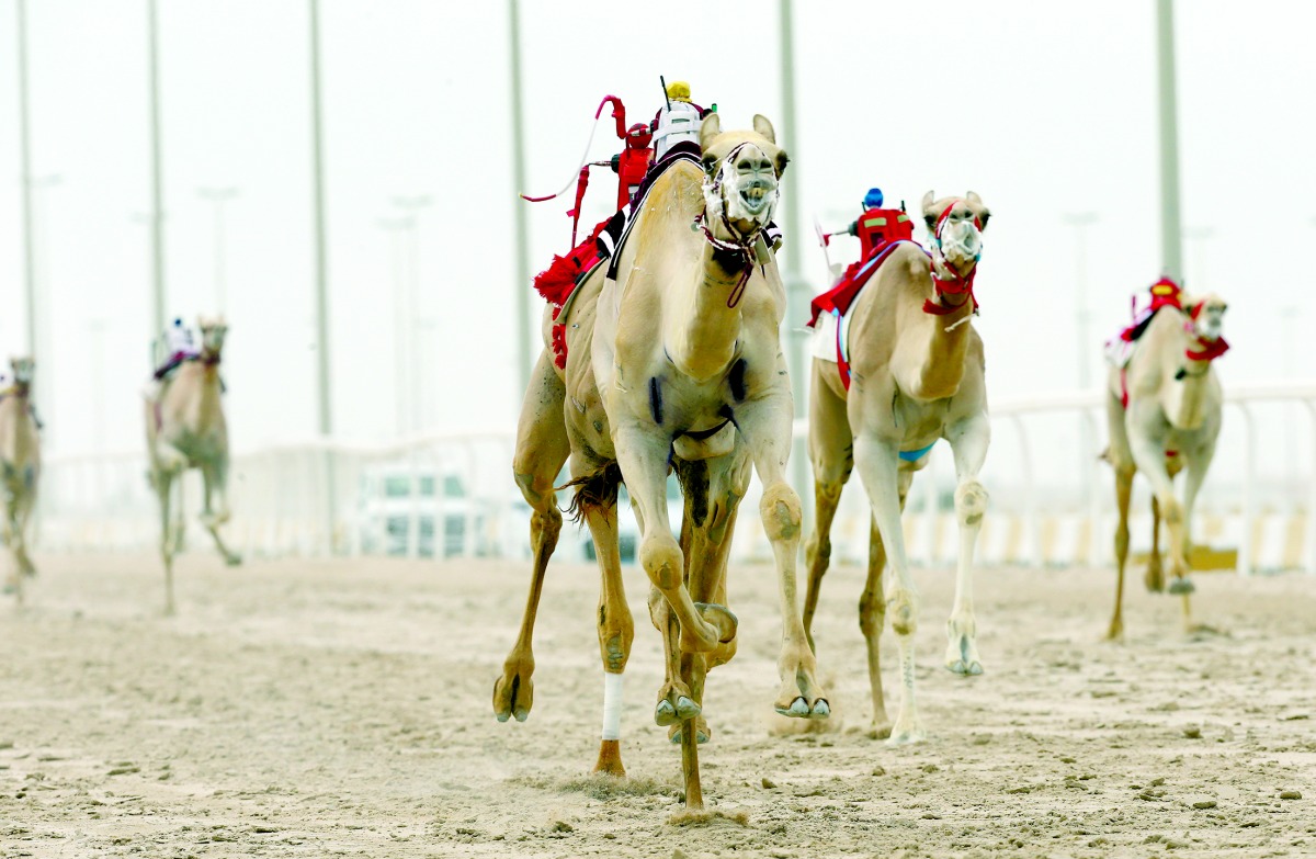 alarab