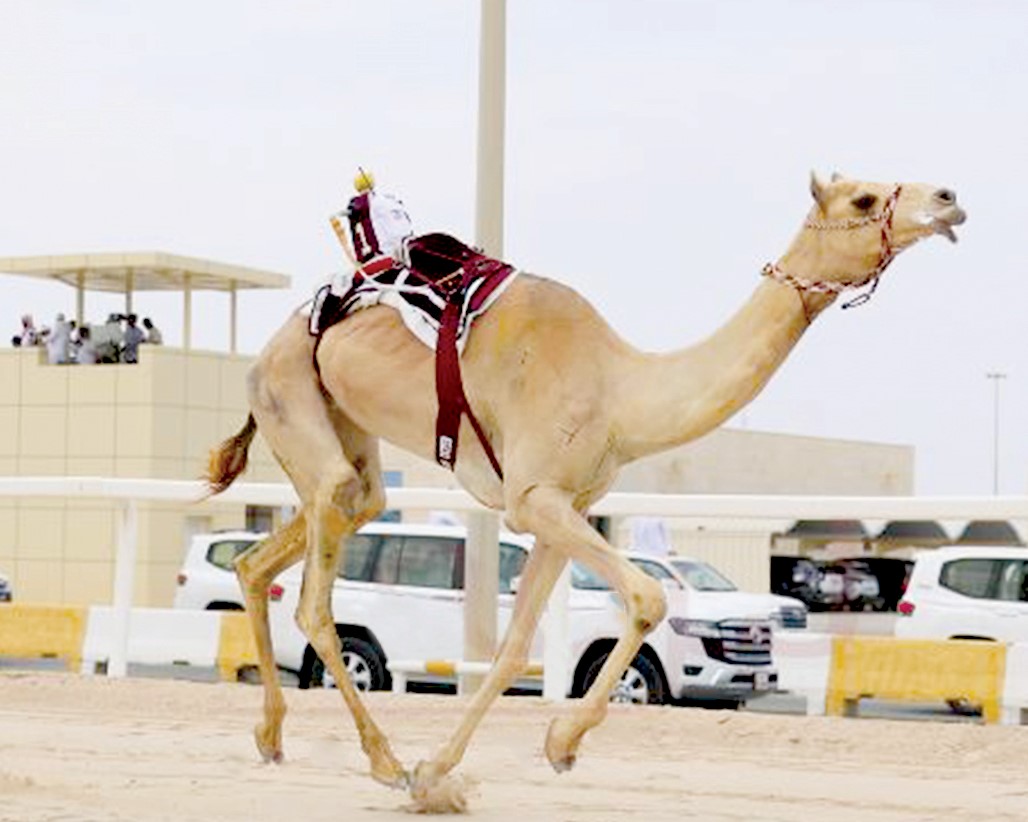 alarab