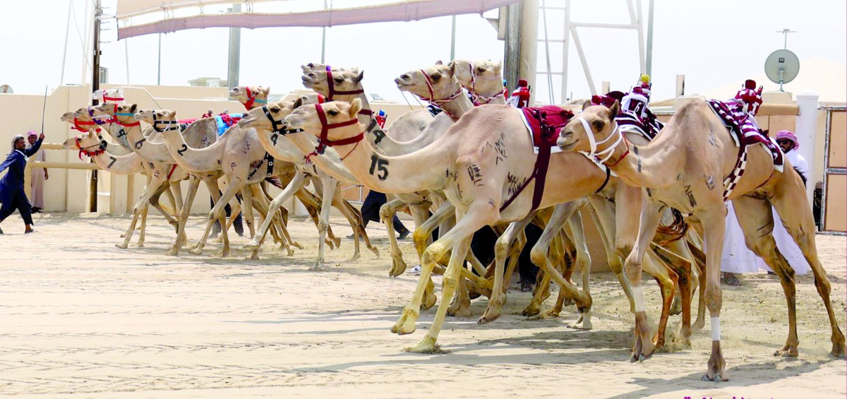 alarab