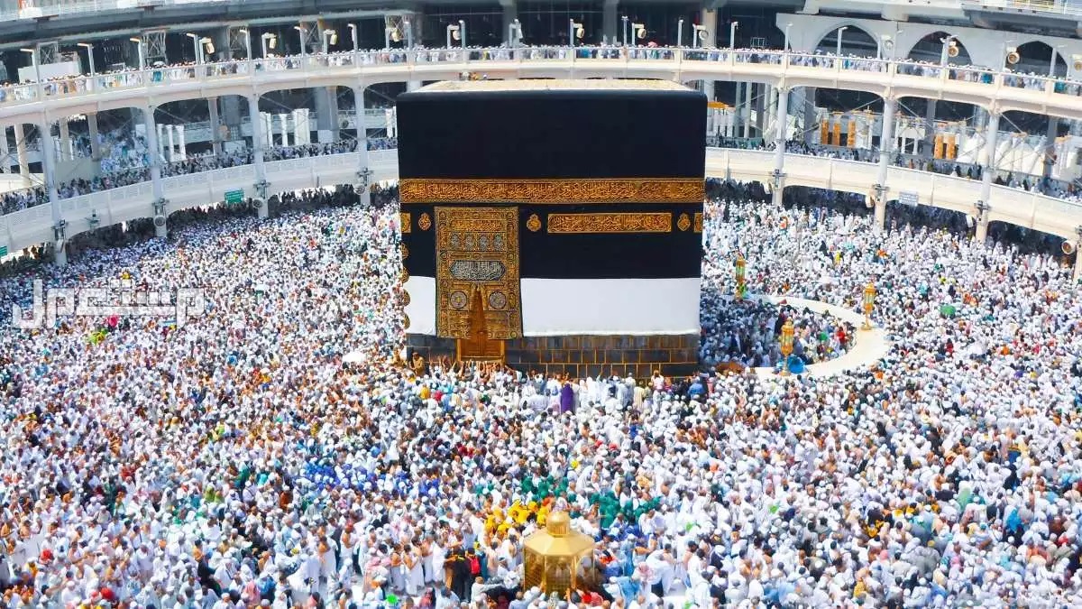 لوسيل