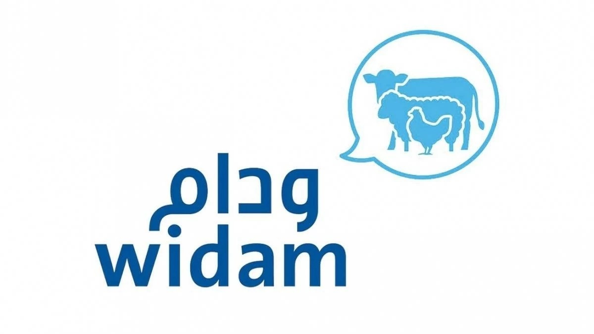 لوسيل