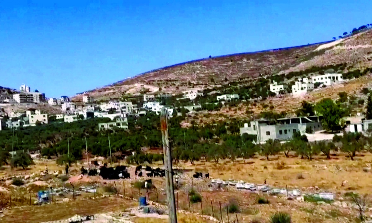 alarab